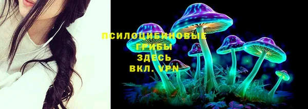 прущие грибы Карпинск