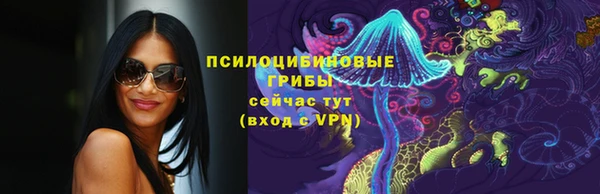 спиды Карталы