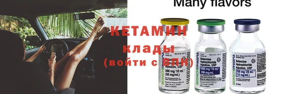 прущие грибы Карпинск
