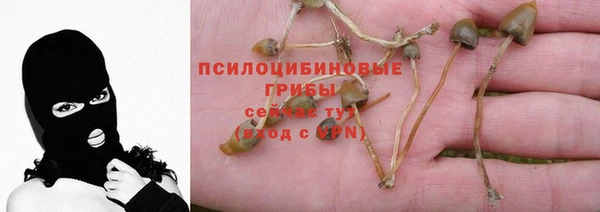 ALPHA PVP Каменногорск