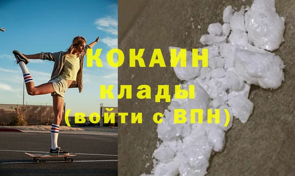 прущие грибы Карпинск