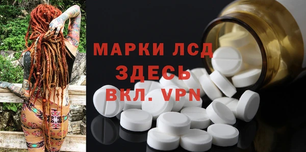 прущие грибы Карпинск