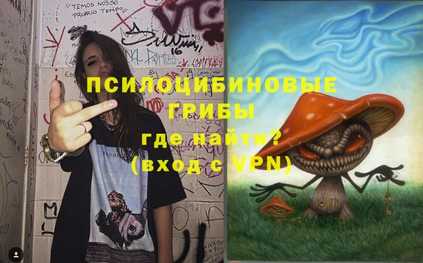 стаф Вязьма