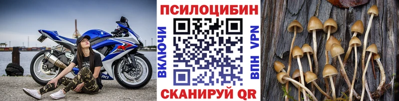 Псилоцибиновые грибы MAGIC MUSHROOMS  OMG как войти  Олонец 